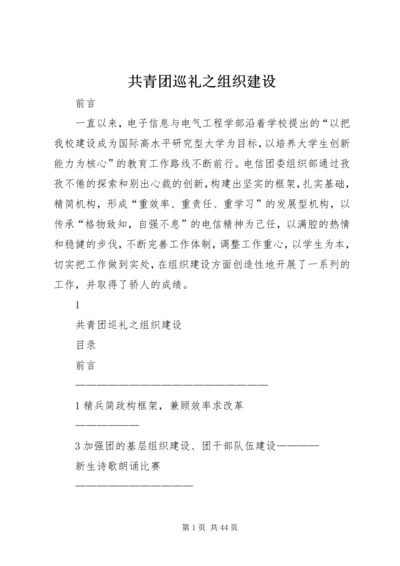 共青团巡礼之组织建设.docx