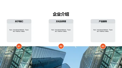 单色扁平3项企业介绍
