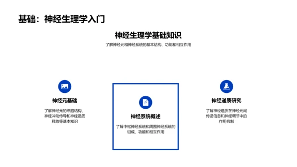 神经生理学概述PPT模板