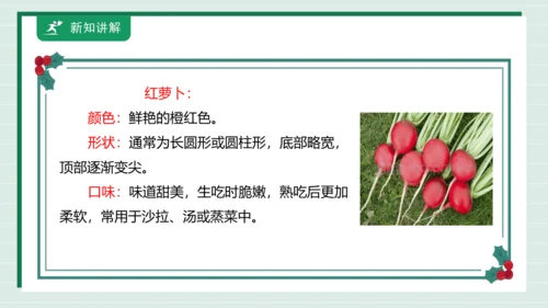 【核心素养目标】主题四 活动一《会爬的蔬菜》课件-【东北师大版】《劳动实践》二上