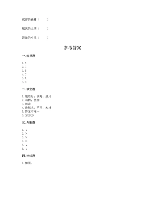 教科版科学二年级上册《期末测试卷》精品（夺冠系列）.docx