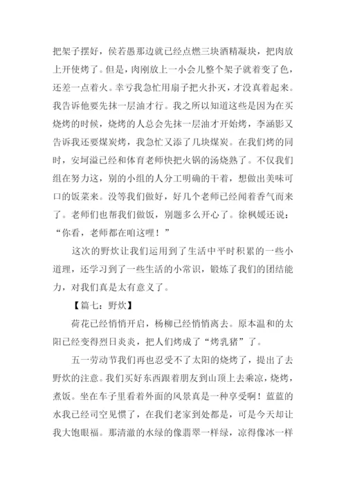 关于野炊的作文.docx