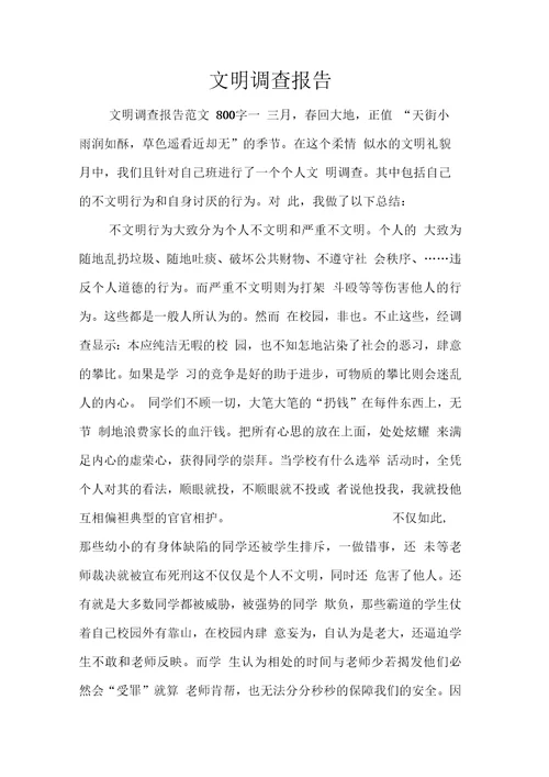 文明调查报告