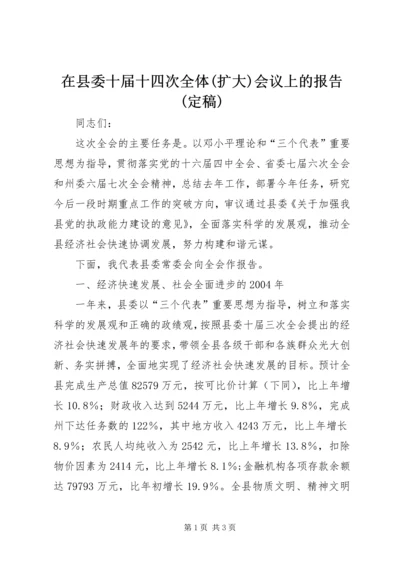 在县委十届十四次全体(扩大)会议上的报告(定稿) (4).docx