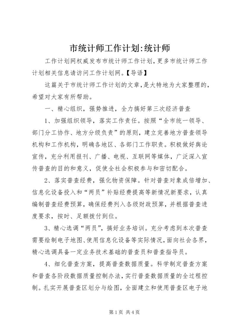 市统计师工作计划-统计师.docx