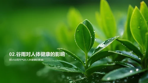 谷雨时节，保健之道