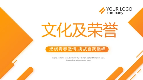 橙色大气企业宣传画册公司简介产品介绍PPT