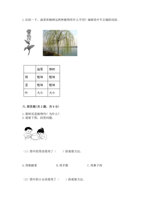 教科版科学一年级上册第一单元《植物》测试卷精品【考试直接用】.docx