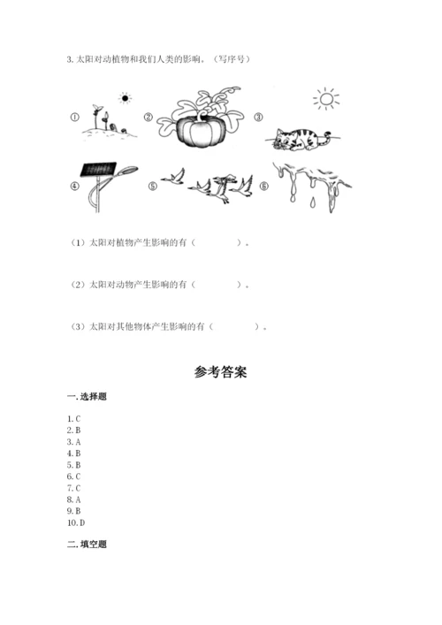 教科版二年级上册科学期末测试卷【考点提分】.docx