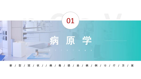 新型冠状病毒感染病例诊疗方案PPT模板