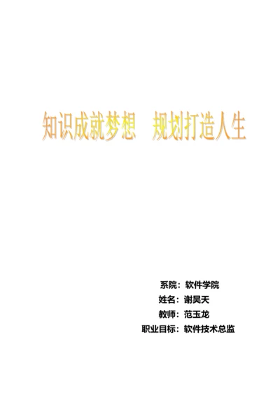 软件工程师职业生涯规划.docx