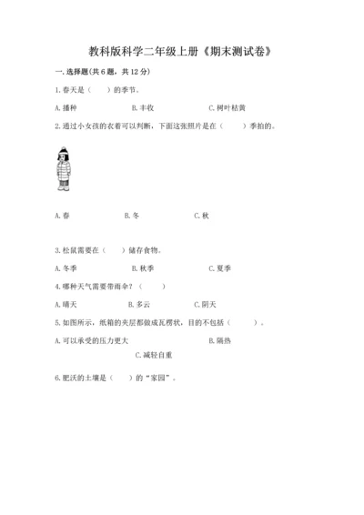 教科版科学二年级上册《期末测试卷》含完整答案（网校专用）.docx