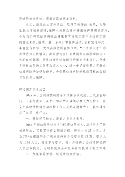 肺结核工作总结.docx