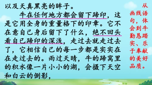 18 牛和鹅   课件