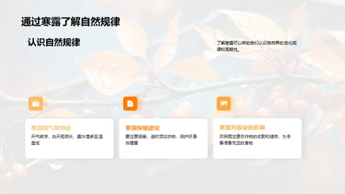 探索寒露节气