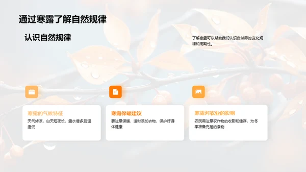 探索寒露节气