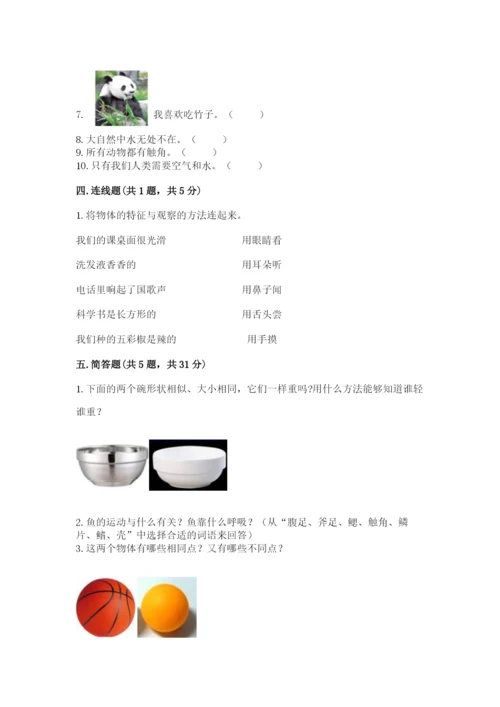 教科版一年级下册科学期末测试卷及参考答案【达标题】.docx