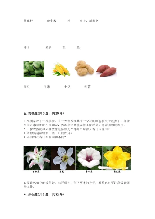 科学四年级下册第一单元植物的生长变化测试卷【含答案】.docx