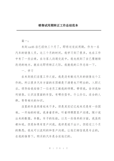 销售试用期转正工作总结范本.docx