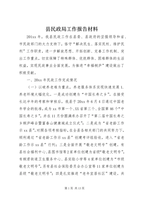 县民政局工作报告材料 (3).docx