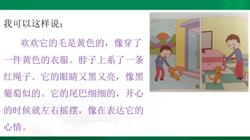 部编版二年级语文看图写话写动物课件