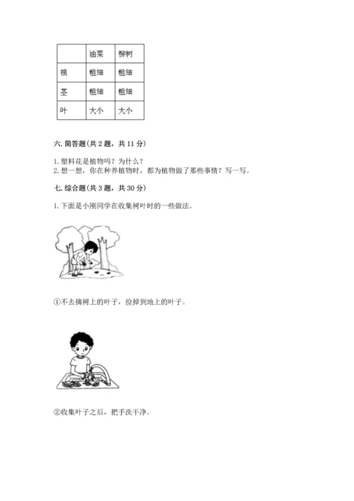 教科版科学一年级上册第一单元《植物》测试卷及完整答案（名师系列）.docx