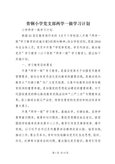青铜小学党支部两学一做学习计划 (4).docx