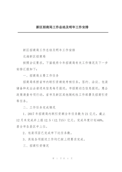 新区招商局工作总结及明年工作安排.docx