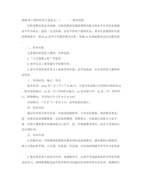 精编之骨干教师培养计划范文.docx