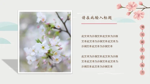 岛国之旅浪漫樱花季通用PPT模板