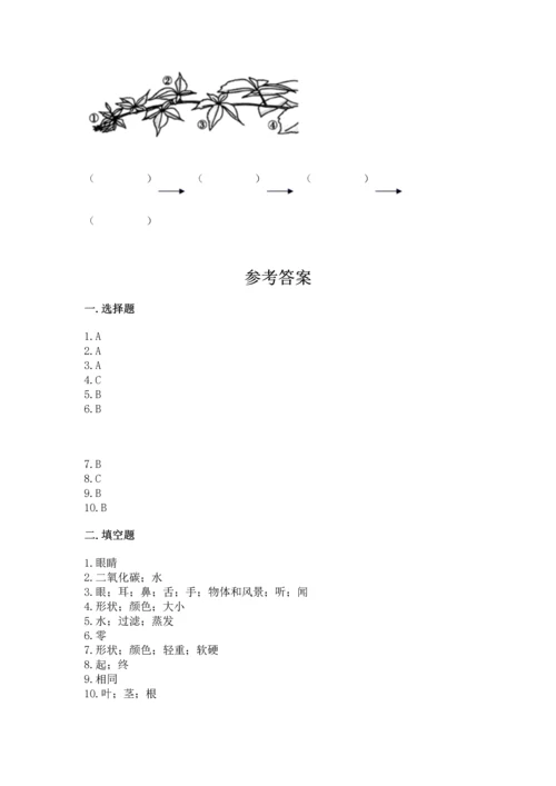 教科版一年级上册科学期末测试卷含完整答案（网校专用）.docx