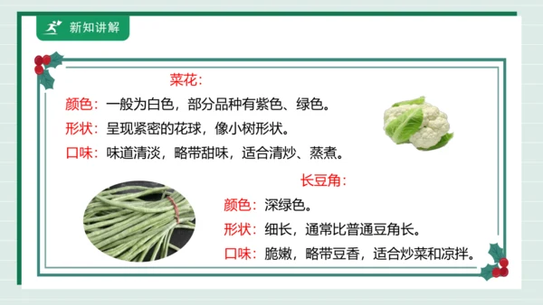 【核心素养目标】主题四 活动一《会爬的蔬菜》课件-【东北师大版】《劳动实践》二上