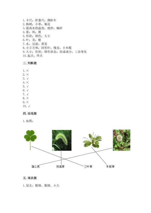 教科版一年级上册科学期末测试卷及答案【夺冠】.docx