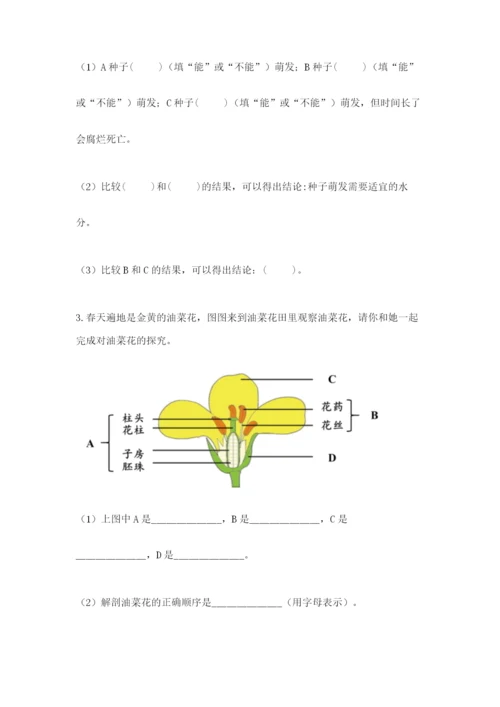 教科版科学四年级下册第一单元《植物的生长变化》测试卷【考点精练】.docx