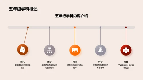 五年级学科全解析