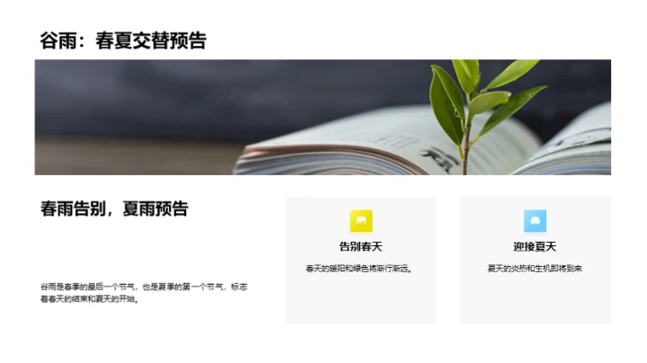 探索谷雨的气候秘密