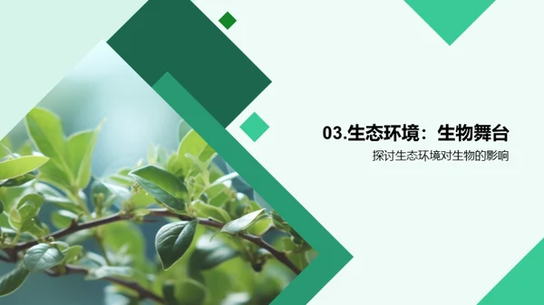 生命奥秘：解密生物学