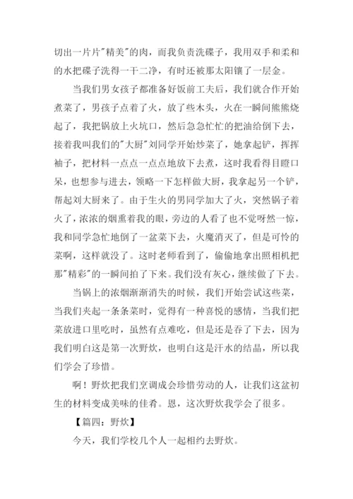 关于野炊的作文.docx