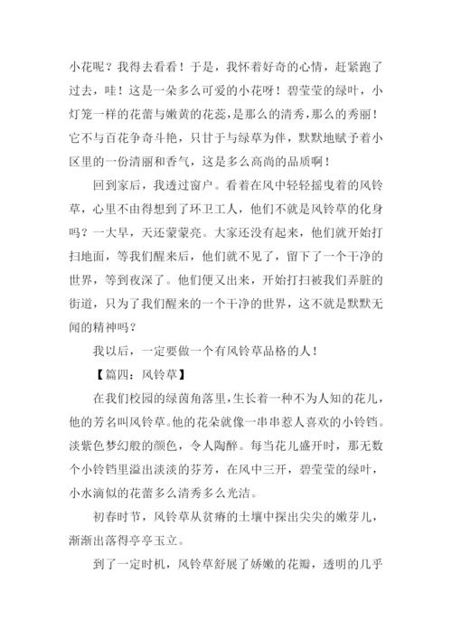 风铃草的作文.docx