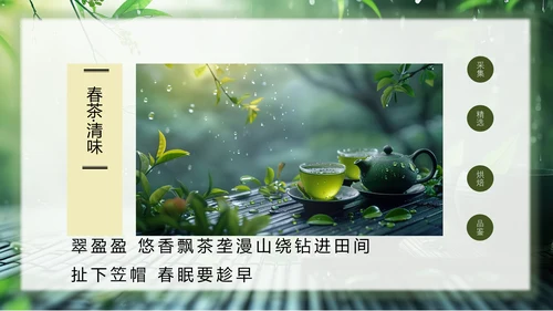 春茶通用PPT模板