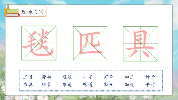 【核心素养】部编版语文二年级下册-语文园地二 第2课时（课件）