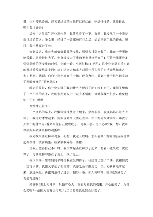 西红柿记叙文.docx