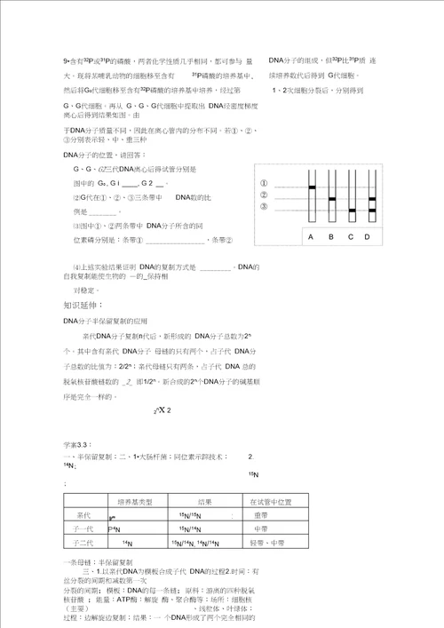 高一生物教案：DNA的复制