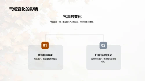 寒露节气的科学解读