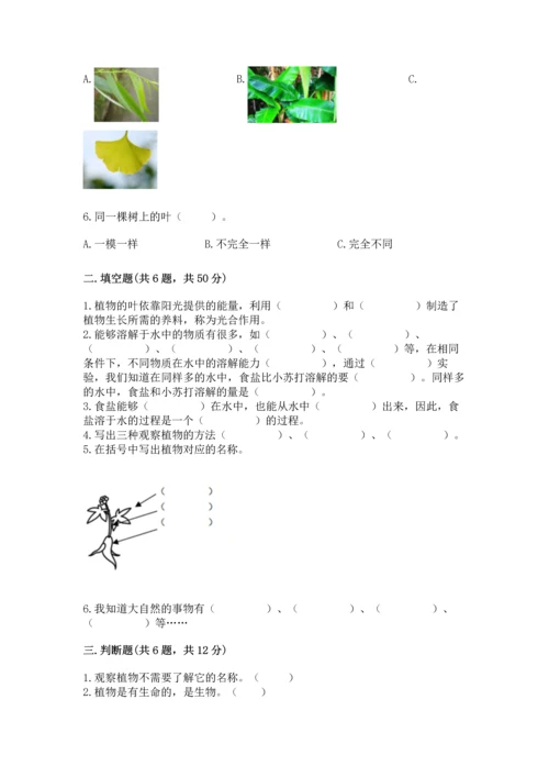 教科版科学一年级上册第一单元《植物》测试卷附答案【a卷】.docx