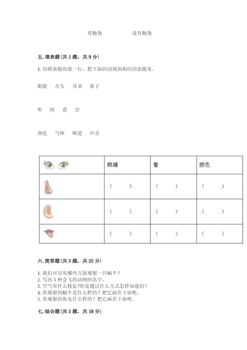 教科版一年级下册科学期末测试卷精品【有一套】.docx