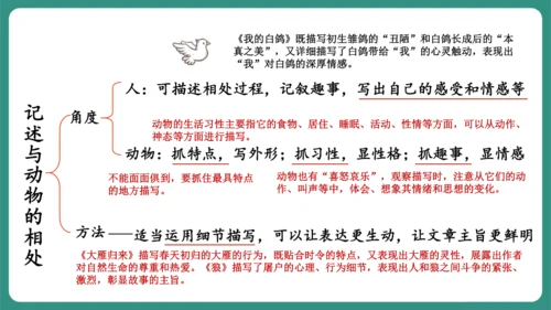 七年级语文上册第五单元 任务三 记述与动物的相处 课件-【课堂无忧】新课标同步核心素养课堂