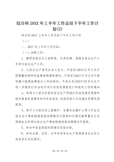 综合科20XX年上半年工作总结下半年工作计划(2).docx