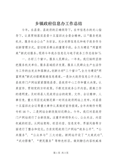 乡镇政府信息办工作总结.docx