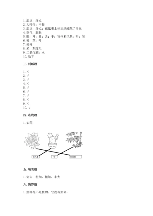 教科版一年级上册科学期末测试卷及参考答案1套.docx